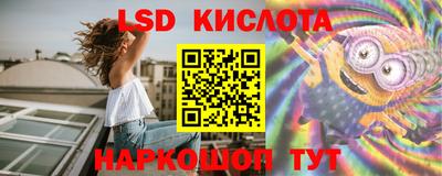 mdpv Заводоуковск