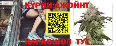 mdpv Заводоуковск