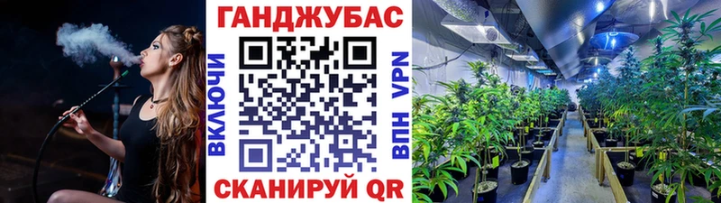 купить наркоту  Кинель  Каннабис план 
